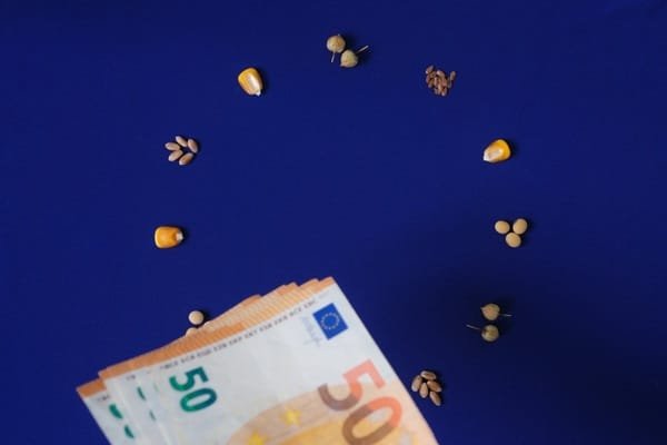 Des billets de cinquante euros étaient disposés en éventail sous un cercle de graines diverses, agencées comme les chiffres d'un cadran d'horloge sur fond bleu.