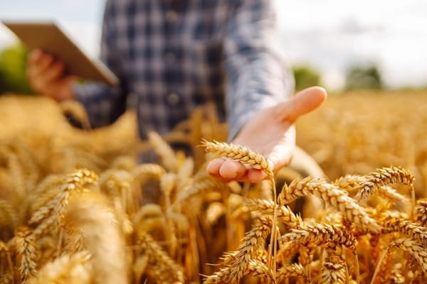 Cotisations agricoles : du nouveau pour le calcul en 2027