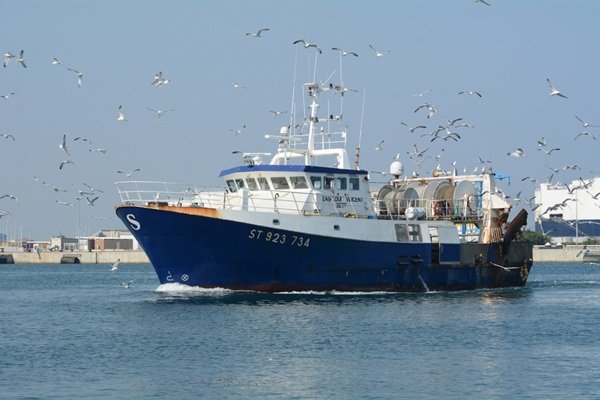 Un bateau de pêche bleu et blanc naviguant dans un port, entouré d'une nuée de mouettes.