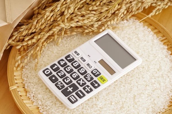 Une calculatrice blanche posée sur un plateau en bambou rempli de grains de riz blanc et de tiges de riz non décortiqué.